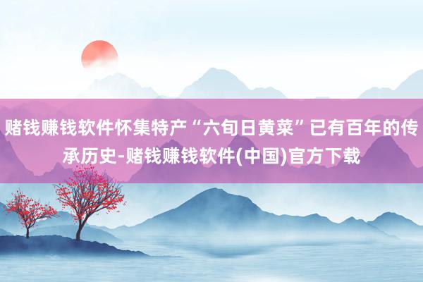 赌钱赚钱软件怀集特产“六旬日黄菜”已有百年的传承历史-赌钱赚钱软件(中国)官方下载