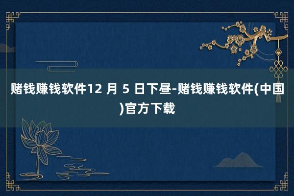 赌钱赚钱软件12 月 5 日下昼-赌钱赚钱软件(中国)官方下载