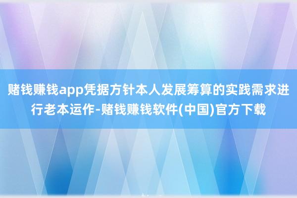 赌钱赚钱app凭据方针本人发展筹算的实践需求进行老本运作-赌钱赚钱软件(中国)官方下载