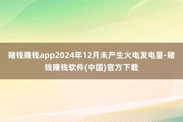 赌钱赚钱app2024年12月未产生火电发电量-赌钱赚钱软件(中国)官方下载
