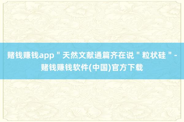 赌钱赚钱app＂天然文献通篇齐在说＂粒状硅＂-赌钱赚钱软件(中国)官方下载