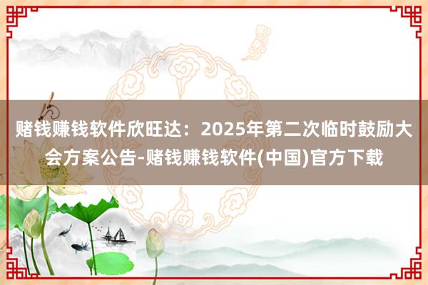 赌钱赚钱软件欣旺达：2025年第二次临时鼓励大会方案公告-赌钱赚钱软件(中国)官方下载