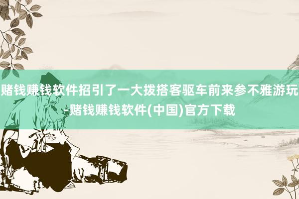 赌钱赚钱软件招引了一大拨搭客驱车前来参不雅游玩-赌钱赚钱软件(中国)官方下载