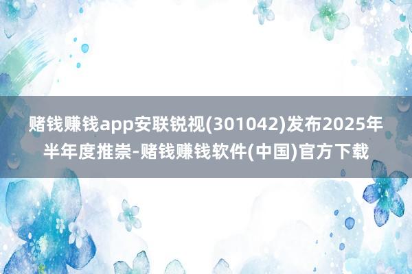 赌钱赚钱app安联锐视(301042)发布2025年半年度推崇-赌钱赚钱软件(中国)官方下载