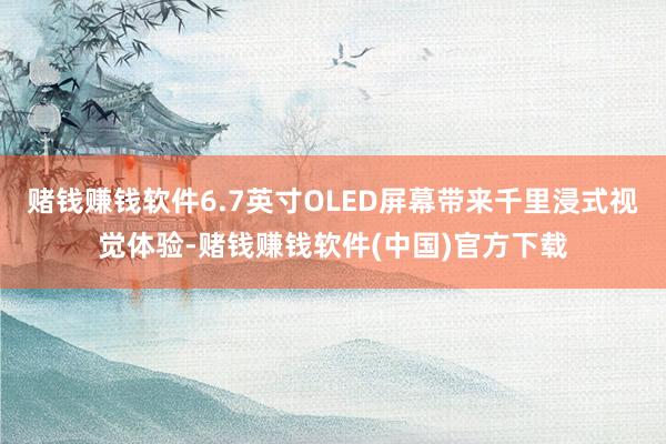 赌钱赚钱软件6.7英寸OLED屏幕带来千里浸式视觉体验-赌钱赚钱软件(中国)官方下载