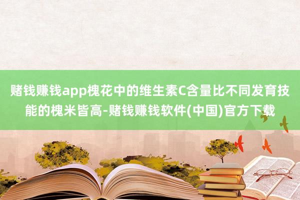 赌钱赚钱app槐花中的维生素C含量比不同发育技能的槐米皆高-赌钱赚钱软件(中国)官方下载